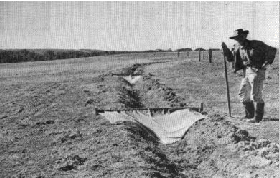 Irrigation flag in dry channel