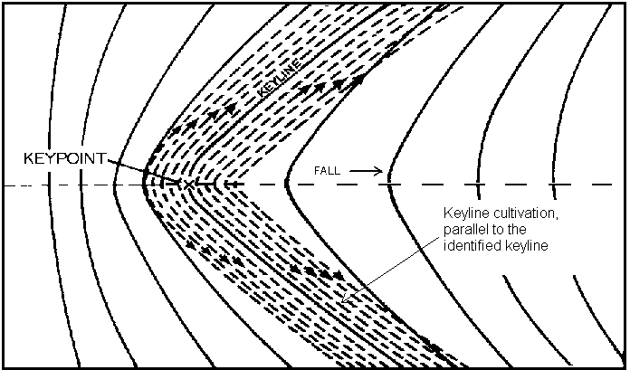 Cultivation parallel to a keyline spreads shallow flows in valleys.