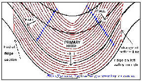 Plan of ridge pattern cultivation